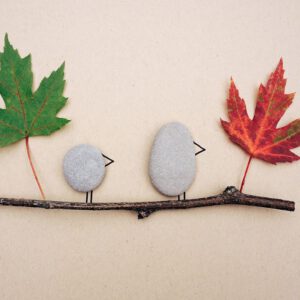 Personal Pet Rocks (Family Edition) – Outdoor Series