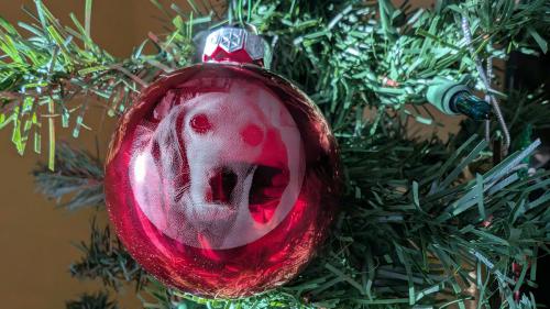 Christmas pet bulb