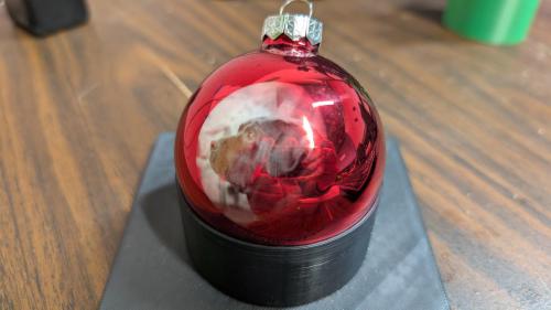 Christmas pet bulb